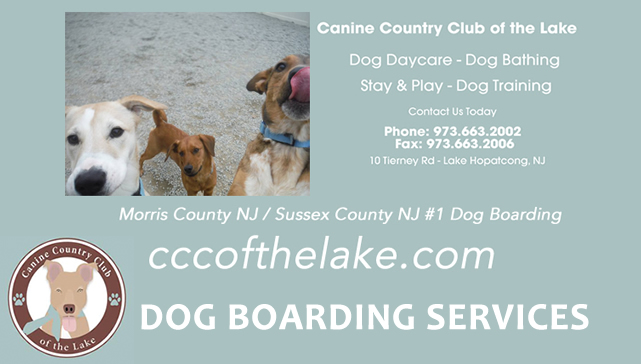 Dog Boarding Byram Township NJ