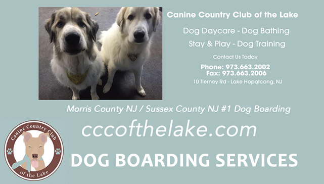 Dog Sitting Netcong NJ