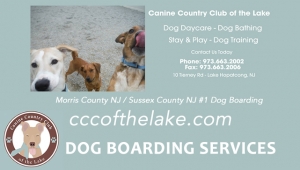 Find Dog Kennels Lake Hopatcong NJ